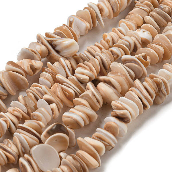 Natural Seashell Shell Beads Strands