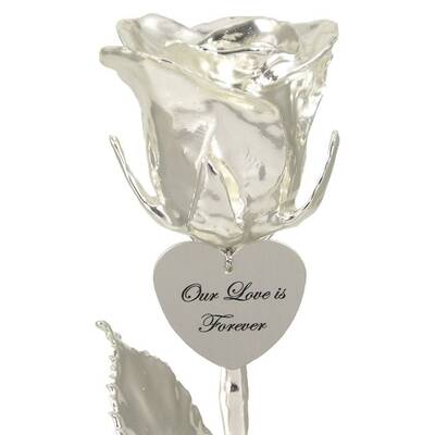 14 Personalized Silver Dipped Rose