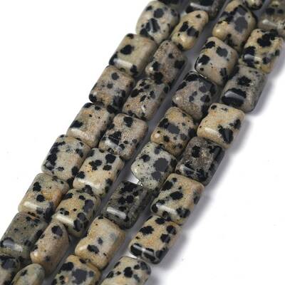 Natural Dalmatian Jasper Beads Strands