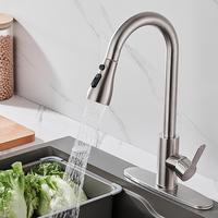 Single Handle High Arc Pull-Out Kitchen Faucet, Single-Layer Stainless Steel Kitchen Sink Faucet With Pull-Down Nozzle, Suita...