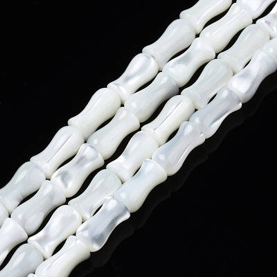 Natural Trochid Shell/Trochus Shell Beads Strands