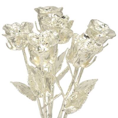 Silver Dipped Roses: Half Dozen 14 Rose Bouquet