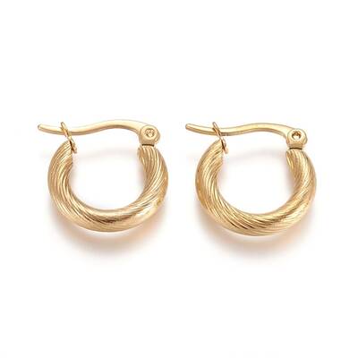 304 Stainless Steel Geometric Hoop Earrings