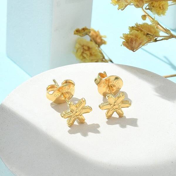 304 Stainless Steel Stud Earrings for Women