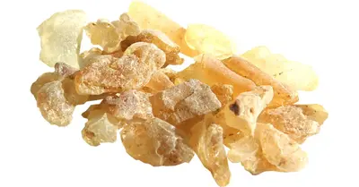 Jungle Way Manila Copal Incense 20g