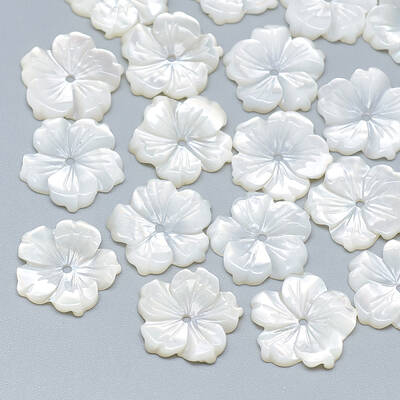 Natural White Shell Beads