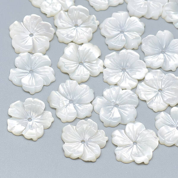 Natural White Shell Beads