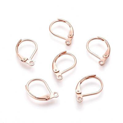 304 Stainless Steel Leverback Earring Findings