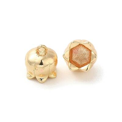 Brass Charms