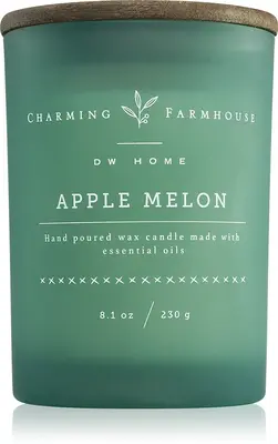 DW Home Charming Farmhouse Apple Melon scented candle 230 g