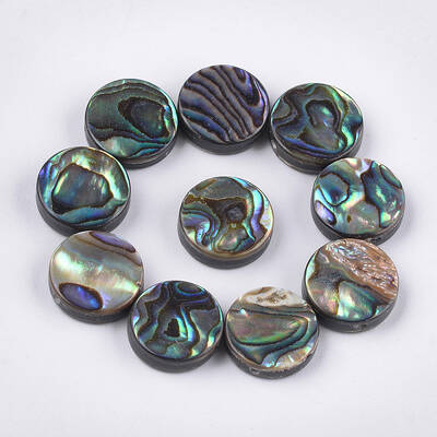Abalone Shell/Paua Shell Beads
