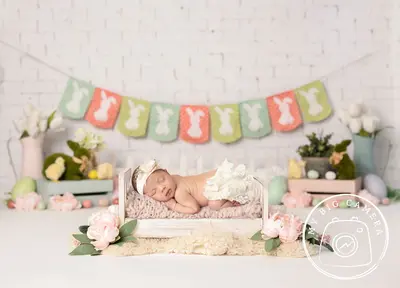 Aperturee Easter Pastels Spring Bunnies Newborn Portrait Backdrop