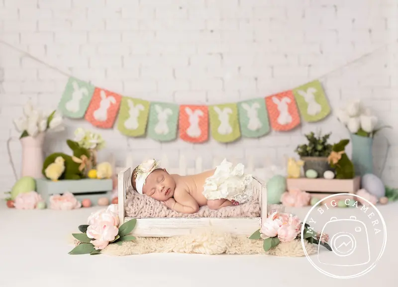 Aperturee Easter Pastels Spring Bunnies Newborn Portrait Backdrop