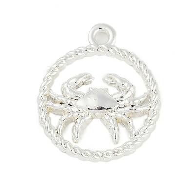 Twelve Constellations Alloy Pendants