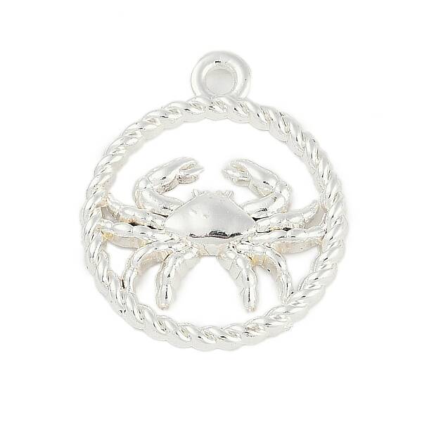 Twelve Constellations Alloy Pendants