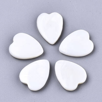 Natural Freshwater Shell Cabochons