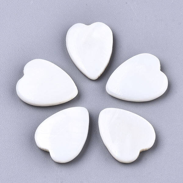 Natural Freshwater Shell Cabochons