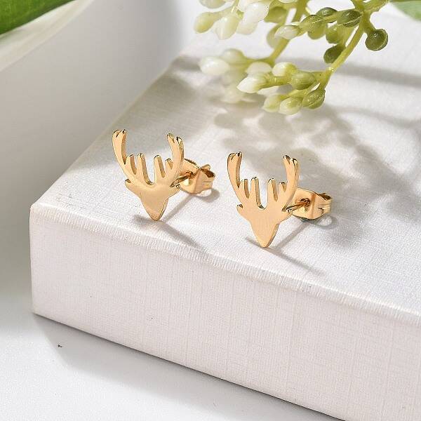 304 Stainless Steel Stud Earrings