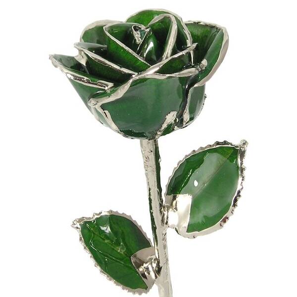Platinum Trimmed Rose: 11 Dark Green Rose