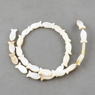 Natural Sea Shell Beads Strands