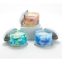 HomeWorx by Slatkin + Co. S/3 14oz Poolside Splash Candles