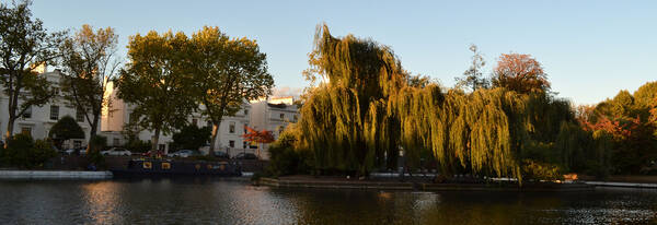 Water and Calm: A Walk to Little Venice
