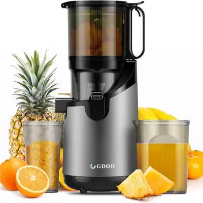 Cold Press/Slow Juicer with 5.3 Large Feed Chute,  Masticating Juicer Extractor,Powerful 250W Motor,Fits Whole Fruits,Veget...