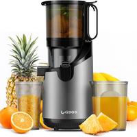Cold Press/Slow Juicer with 5.3\