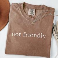 Comfort Colors Not Friendly Shirt, Adult Humor Shirtt, Soft Cotton Crewneck Shirt for Men and Women, Gift for Him or Her, Uni...
