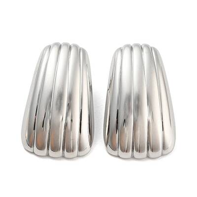 Non-Tarnish 304 Stainless Steel Stud Earring for Women