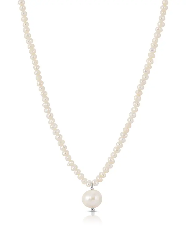 Andes Necklace | Metal Color: Silver