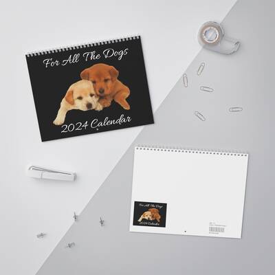 Drake For All The Dogs 2024 Calendar | Slime You Out Lyric Calendar