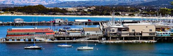 Monterey Driving Tour: From Del Monte Beach to Cannery Row and the Aquarium