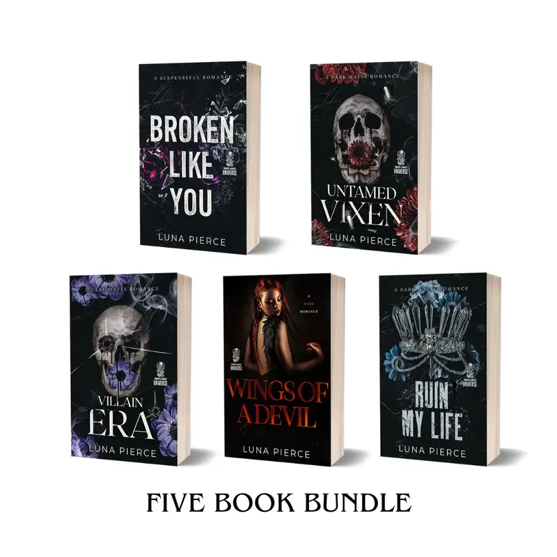 Sinners and Angels Universe 5 book BUNDLE (Dark Mafia Romance) sets fiction books romance