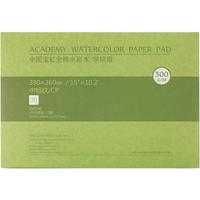 MEEDEN Watercolor Paper Block, Textured Surface Watercolor Paper, Cold Pressed, 20 Sheets (140lb/300gsm) Art Paper for Waterc...