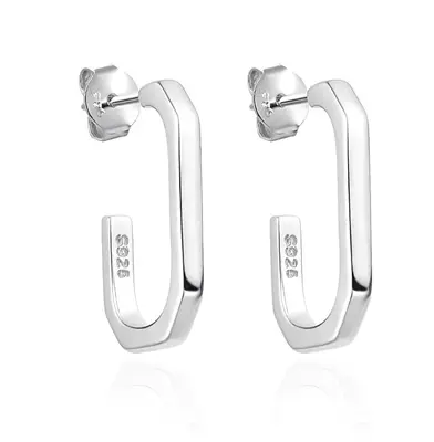 Agato Timeless Silver Earrings AGT-E136P
