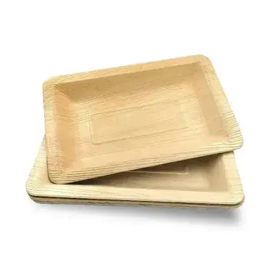 Dtocs Compostable Palm Leaf Plate - 5x8 Inch Rectangle | Bamboo Look Compostable Eco-friendly Disposable Snack, Cheese, Mini-...