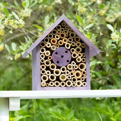 Wooden Bee House | 8 inch - Purple