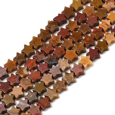 Natural Ocean Jasper Beads Strands