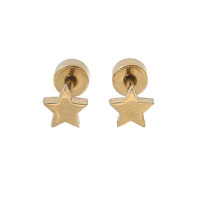 304 Stainless Steel Stud Earrings for Women