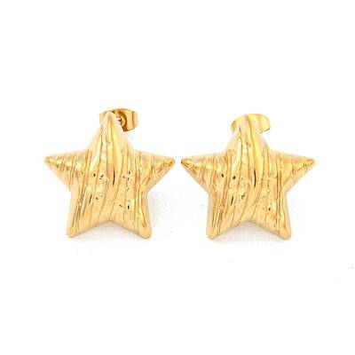 Star 304 Stainless Steel Ear Studs