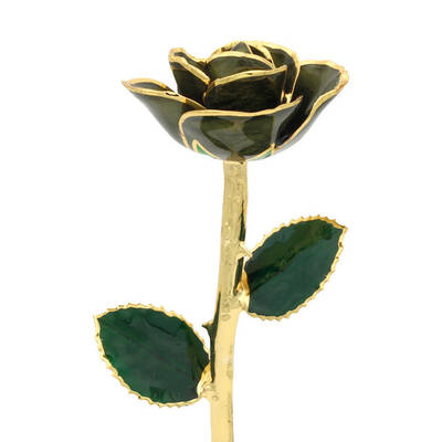 11 24k Gold Trimmed Vintage Green Rose