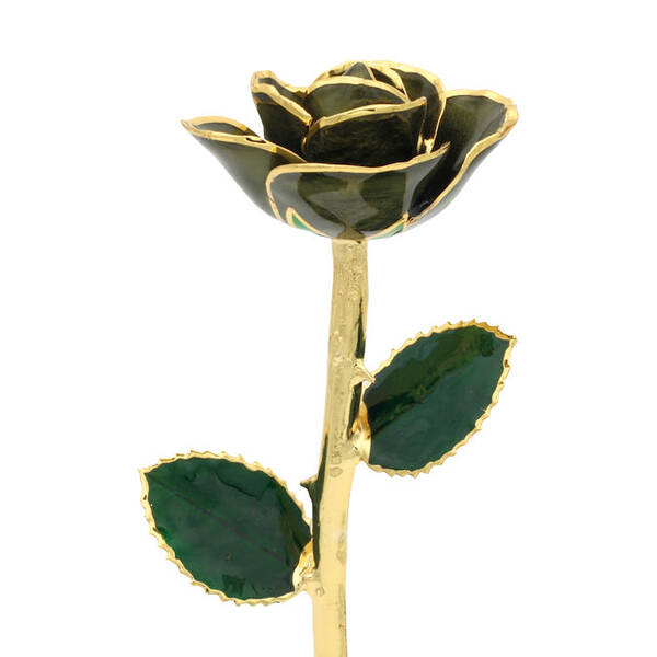 11 24k Gold Trimmed Vintage Green Rose