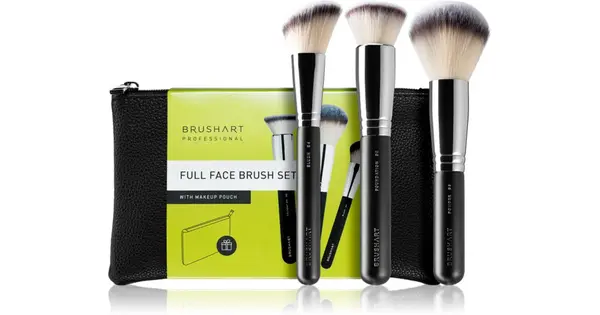 BrushArt Professional Brush Set with Case Black 1pc