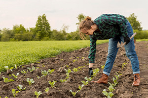 Understanding and Improving Soils