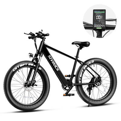 Professional 26x4.0 Fat Tire Electric Bike for Adults