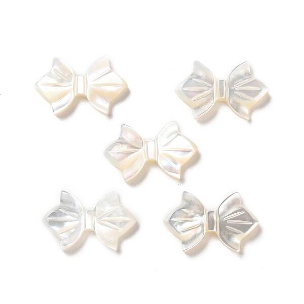 Natural White Shell Beads