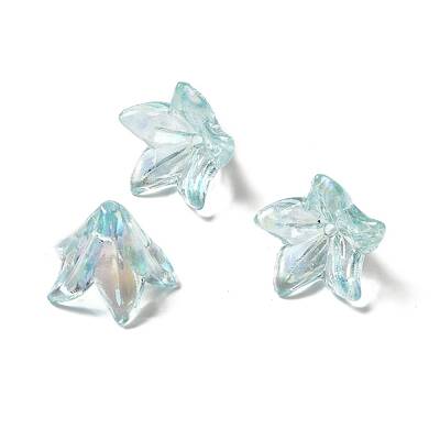 Transparent Acrylic Bead Caps