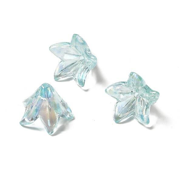 Transparent Acrylic Bead Caps