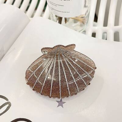 Acrylic Claw Hair Clips